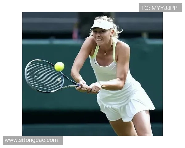 莎拉波娃与哈的巅峰对决谁将赢得这场网球盛宴的荣耀与胜利