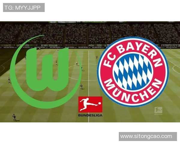 拜仁与多特精彩对决门票抢购指南及注意事项分享